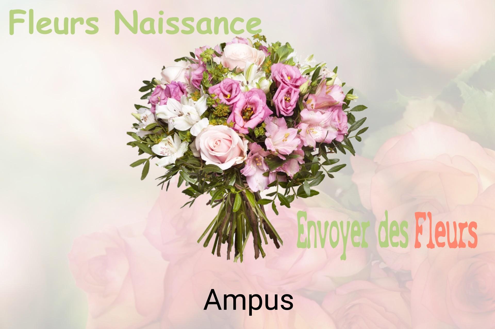 Bouquet de fleurs de naissance livré à Ampus