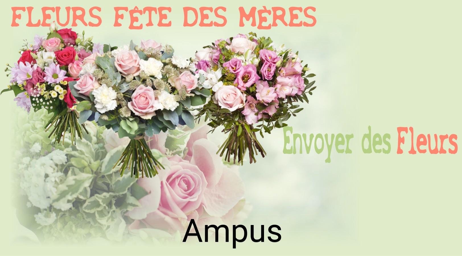 Bouquet de Fête des Mères livré à Ampus
